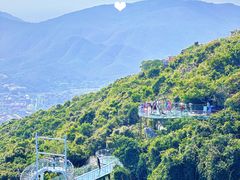 -亚龙湾热带天堂森林公园
