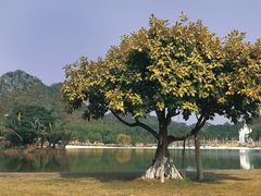 -南宁花花大世界景区