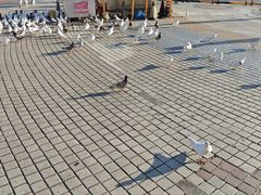 -优托邦(长兴路店)