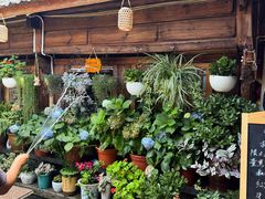 -龙姐私房菜(和顺古镇店)