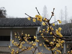 -无锡梅园公园