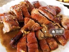 烤鸭-煲煲香快餐(南京路店)