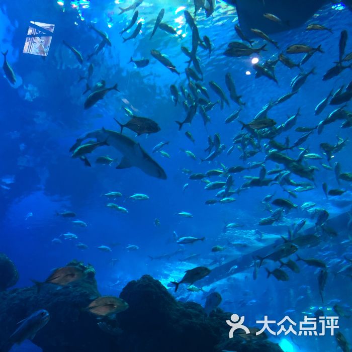 海滨城浩海立方海洋馆图片-北京海洋馆-大众点评网