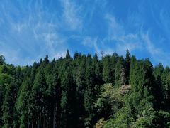 -瓦屋山景区