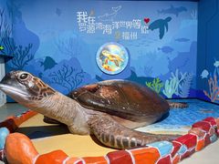 -福州罗源湾海洋世界旅游区