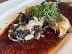 -宝燕壹号景观餐厅(龙盛国际商业广场店)