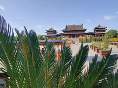 -大槐树寻根祭祖园