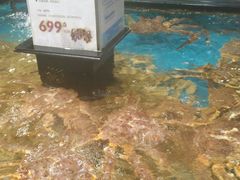 -盒马鲜生(皇庭广场店)