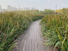 -永定河休闲森林公园