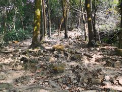 -火炉山森林公园