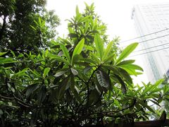 -民国红公馆·艺文空间(颐和路店)