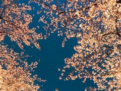 -西北湖绿化广场