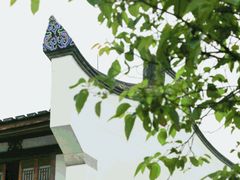 -光明港公园