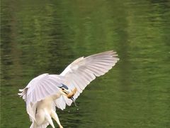 -重庆彩云湖湿地公园