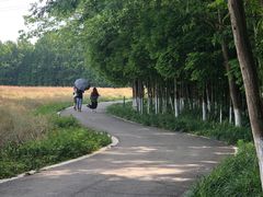 -桤木河湿地公园