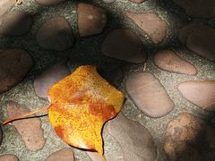 -神光山国家森林公园