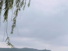-星巴克(西湖天地店)
