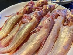 -石锅苗苗鱼(武汉首店)