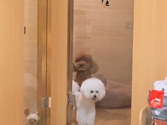 -Double Rui宠物酒店