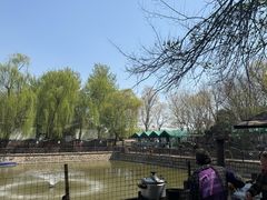 -尚庄度假村·庭台树下·户外烧烤·团建CS·轰趴营地(上庄水库店)