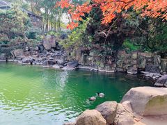 -白马涧龙池景区