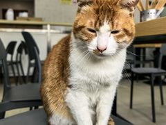 -珊珊小笼馆(仙霞路店)