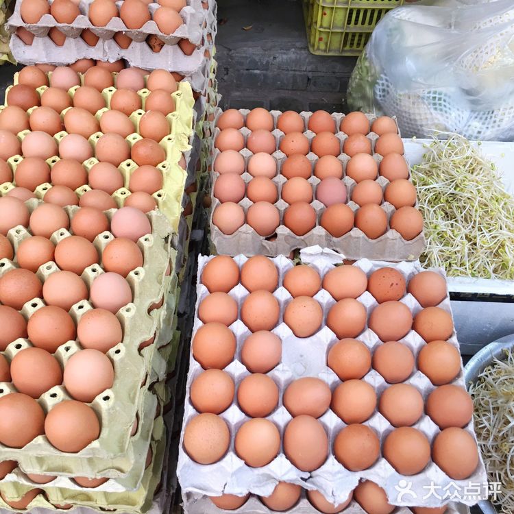 后宰门马路旁的门面店，蔬菜、水果、蛋、奶、豆制品应有