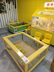 -神奇动物撸宠馆·羊驼·小浣熊·异宠(豫园店)