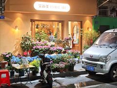 -溪岸路花鸟市场