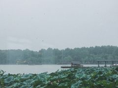 -湖畔居茶楼(湖滨店)