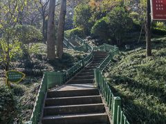-乌山风景区