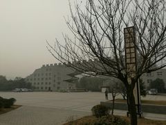 -洛阳市隋唐城遗址植物园