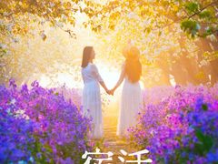 -江苏三台山国家森林公园