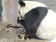 -苏州太湖国家湿地公园