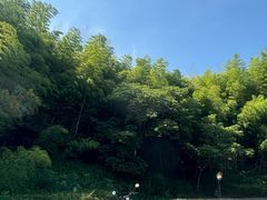-南山风景名胜区