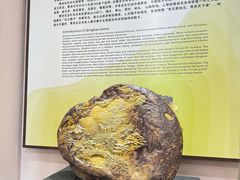 -青田石雕博物馆