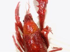 -袁老大龙虾(石鼓路总店)