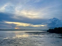 -宝安西湾红树林湿地公园