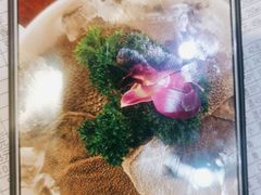 -山城年华老火锅(玉林店)