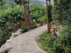-中原农家乐(中原饭店)