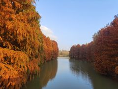 -上海海湾国家森林公园