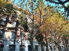 -同济大学（四平路校区）-图书馆