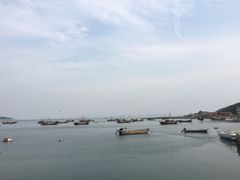 -长岛万鸟岛