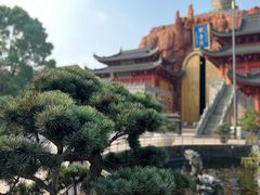 -上海东林寺(金山区)