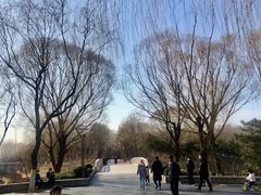 -大兴滨河森林公园