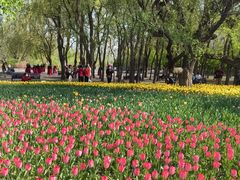 -长春公园(普阳街道)