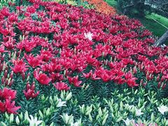 -长春公园(普阳街道)