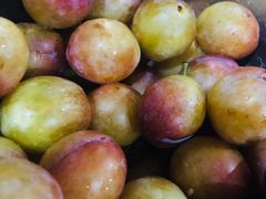 -百果园PAGODA(中铭豪园店)