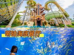 -三亚海棠湾喜来登度假酒店大堂吧
