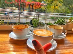 -Cafe Villa